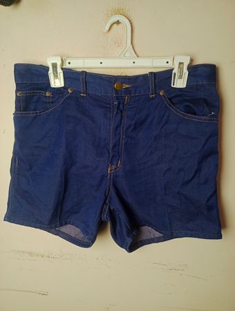 Levi's Denim Shorts