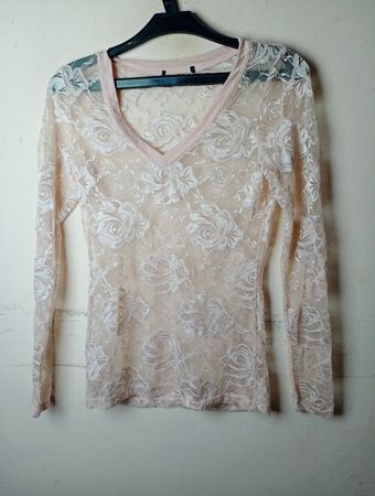 Sheer Lace Rose Print Long Sleeve Top