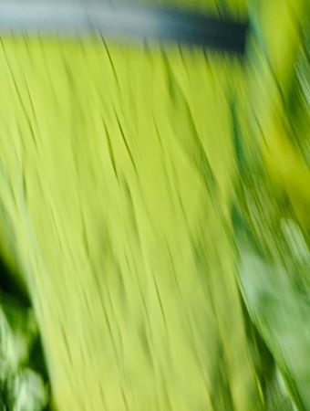 FUTURA Grüne Rüschenshirt-Bluse im Kimono-Stil