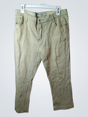 ADB Women's Beige Textured Pants