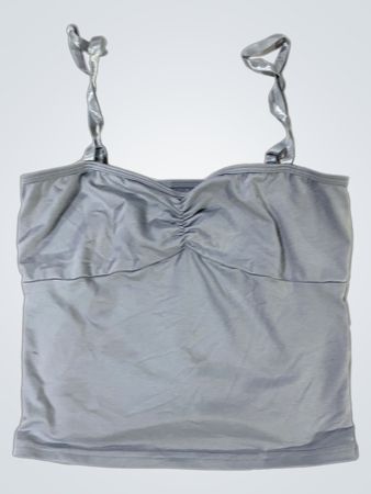 Victoria's Secret Gray Bustier Top