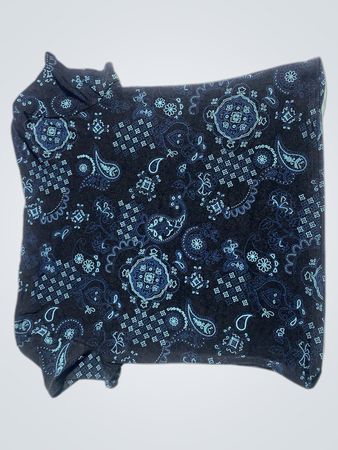 Briggs New York Paisley Bandana