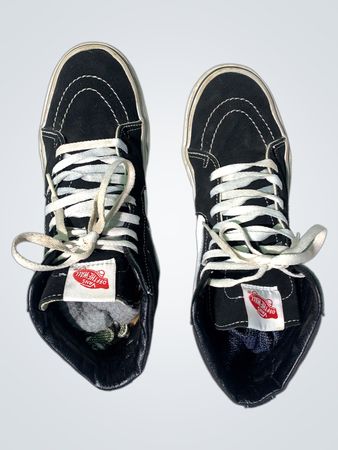 Vans SK8-Hi High-Top Sneakers