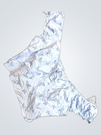 Blue Butterfly Bra and Panty Set