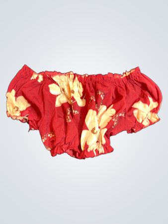 Red Floral Shorts