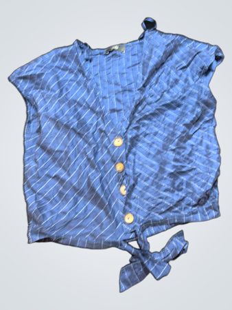 Blue Striped Blouse