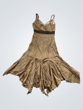 Modesta Tan Dress