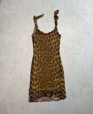 Sheer Leopard Print Mini Dress