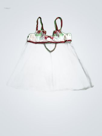 Sheer Mesh Bra