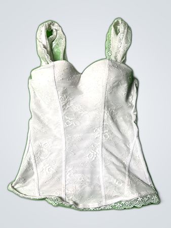 Spirit Lace Bustier Top