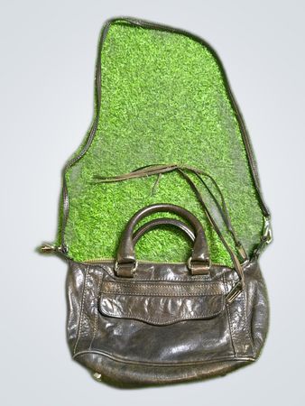 Rebecca Minkoff Mini Leather Satchel Bag