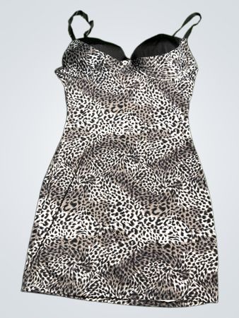 Animal Print Dress
