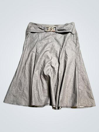 Gray Pleated Skirt