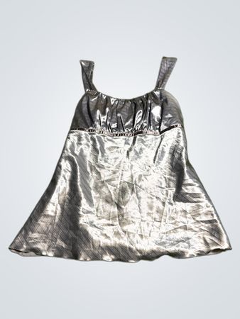 Gray Shiny Dress