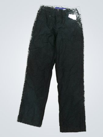 Dickies Flex Pants