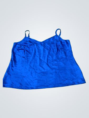 Blue Camisole