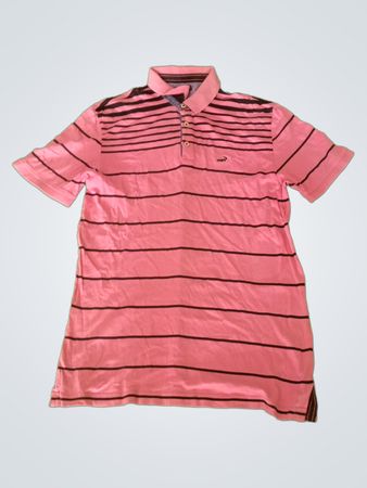 Crocodile Pink Striped Polo Shirt