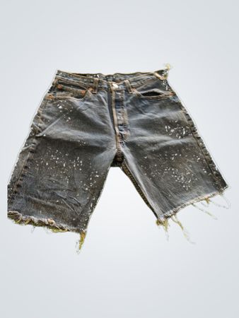 Levi's Denim Shorts