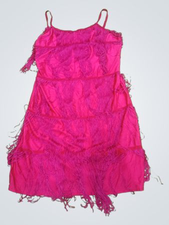Pink Fringed Dress
