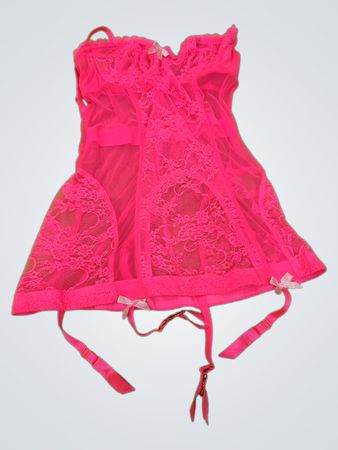 Be Wicked Pink Lace Bustier