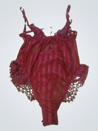 Red Sheer Striped Lace Trim Teddy Lingerie