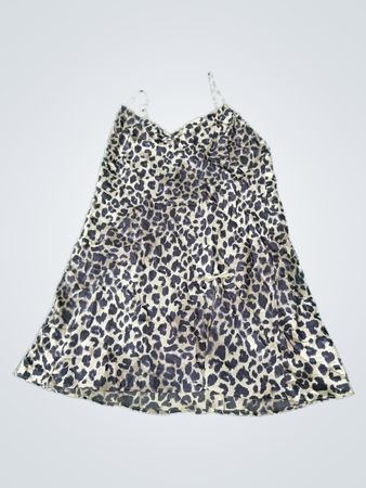 Leopard Print Dress