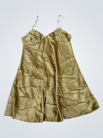 Gold Nightgown