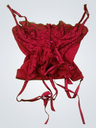 Red Lace Corset Top