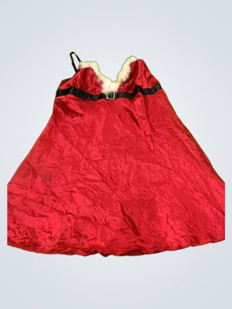 Santa Dress