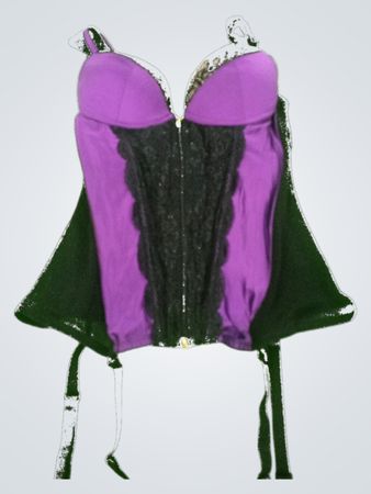 Unbranded Purple and Black Lace Bustier Top