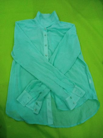 Teal Sheer Blouse