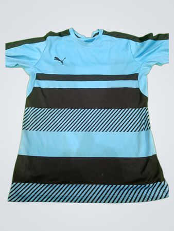 Puma Light Blue Striped Long-Sleeve Jersey