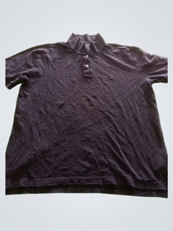 Tommy Hilfiger Polo Shirt