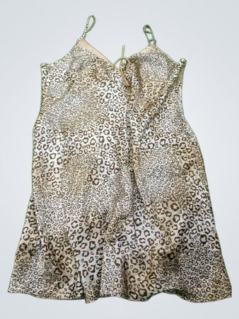 Animal Print Dress