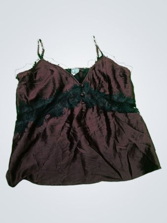 Brown Silk Camisole with Lace Details