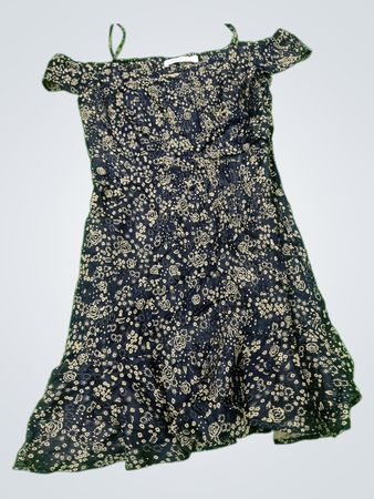 Zara Floral Off-Shoulder Denim Mini Dress