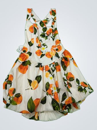 Zara Orange Floral Dress