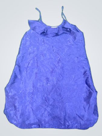 Blue Blouse