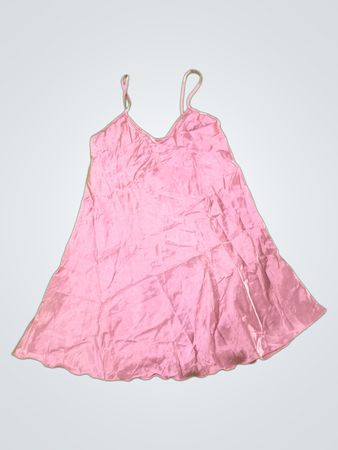 St Bernard Pink Dress