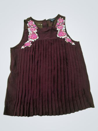 American Eagle Outfitters Embroidered Pleated Dress