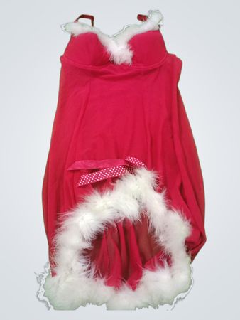 Santa Costume