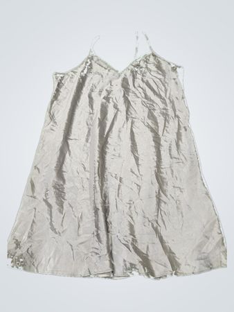 Presence Silver Satin Slip Dress