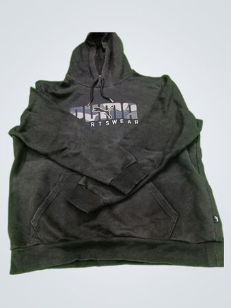 Puma Sportswear Hoodie