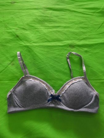 Gray Bra