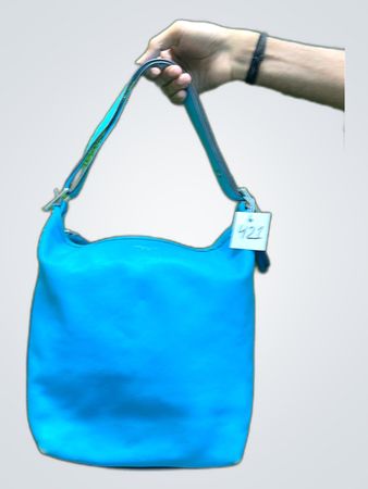 Blue Coach Purse