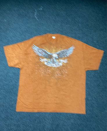 Alstyle Apparel & Activewear T-Shirt mit Adlergrafik