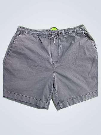 American Eagle Gray Drawstring Shorts