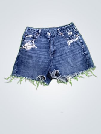 American Eagle Distressed Denim Shorts