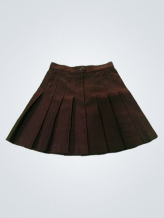 Brown Pleated Skirt