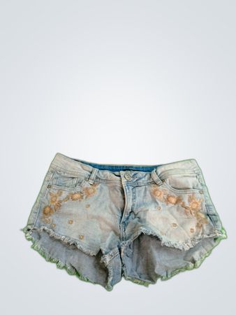 rue21 Embroidered Denim Shorts